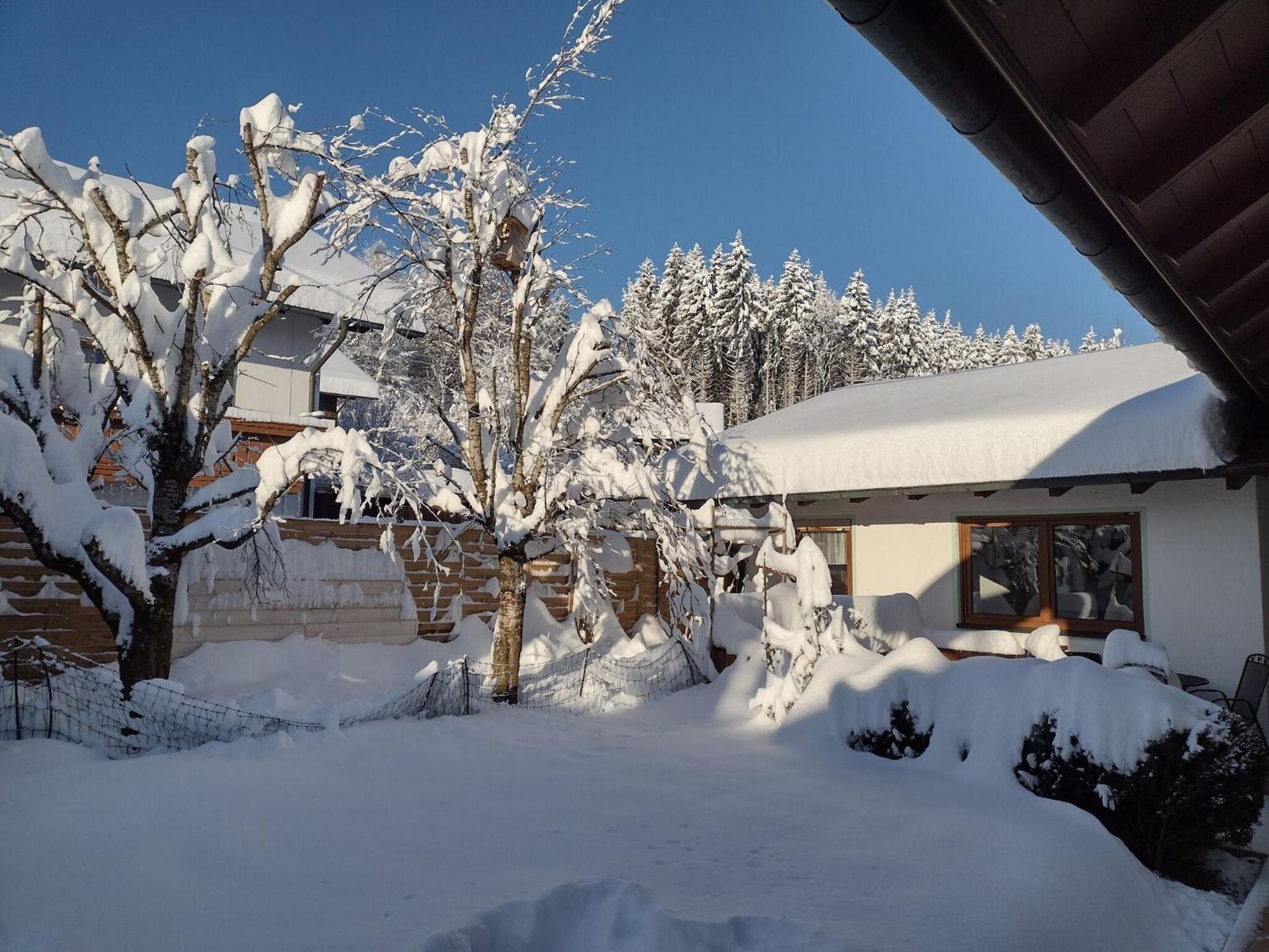 Cosy Holiday Home With Sauna In The Allg U Burggen Extérieur photo